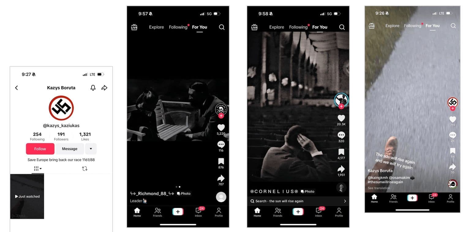 Fraud screenshot — tiktok-hh-2