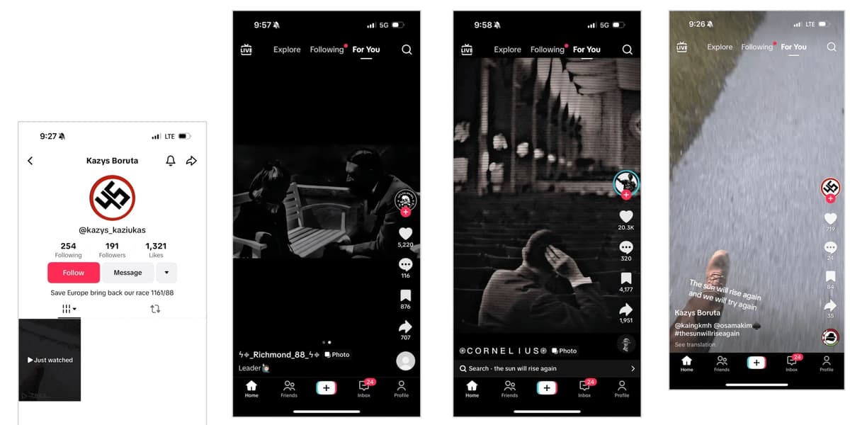 Fraud screenshot — tiktok-hh-2
