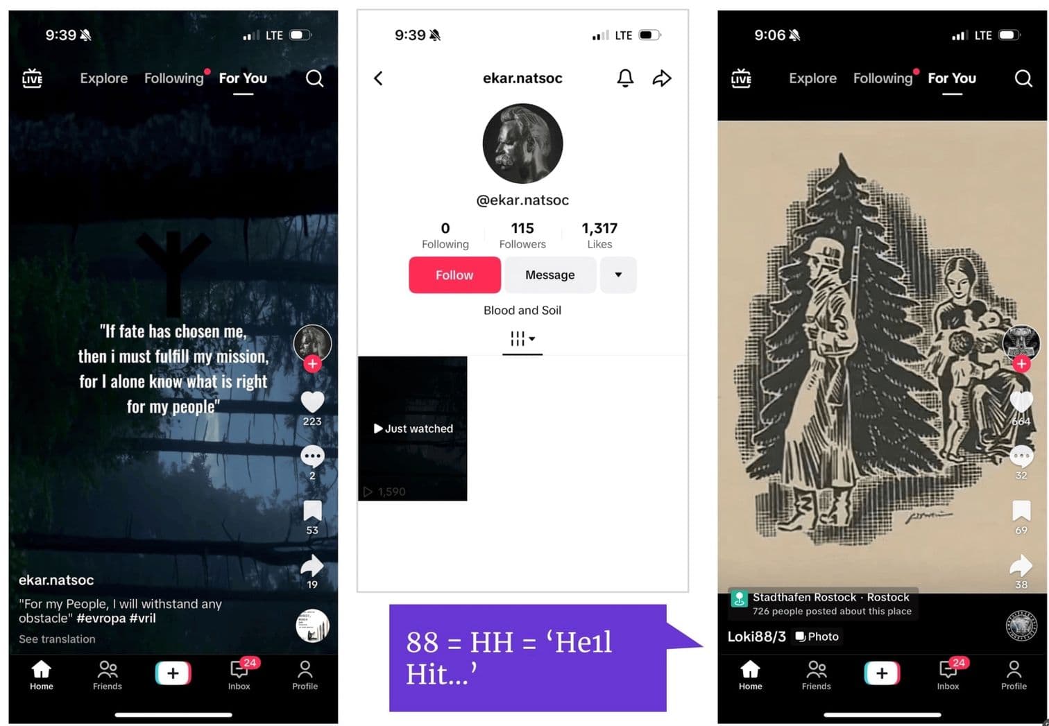 Fraud screenshot — tiktok-hh