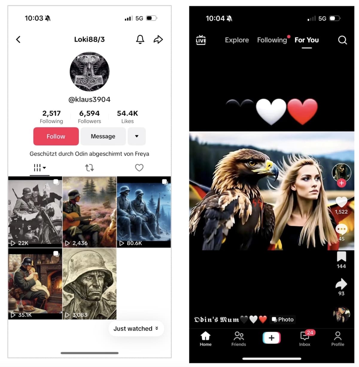 Fraud screenshot — tiktok-hh-3