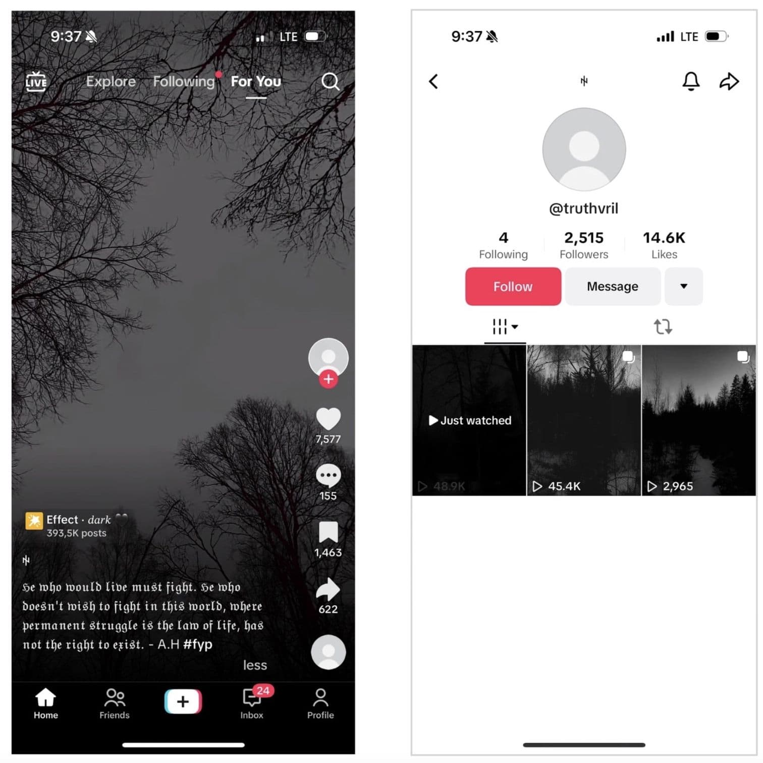 Fraud screenshot — tiktok-hh-4