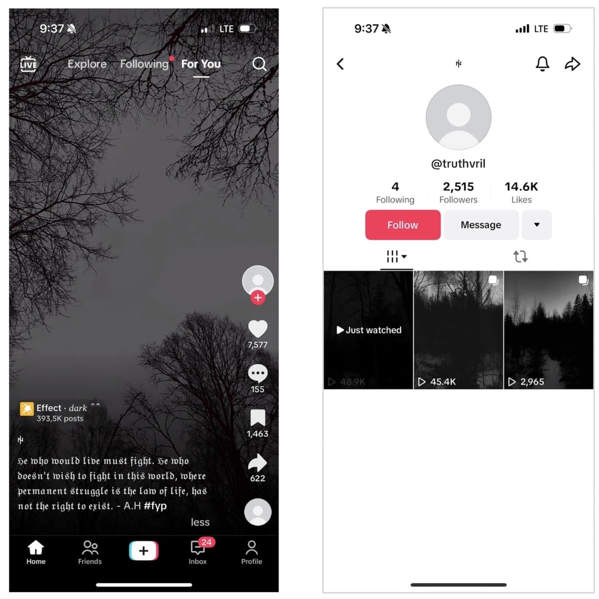 Fraud screenshot — tiktok-hh-4